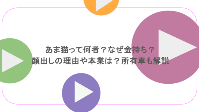 あま猫って何者？なぜ金持ち？顔出しの理由や本業は？所有車も解説